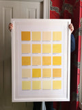 The yellows of the bills in John James Audubon's The Birds of America: 1827-1838