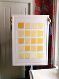 The yellows of the bills in John James Audubon's The Birds of America: 1827-1838